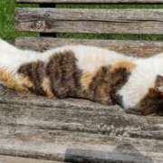 ヒメ日記 2025/03/10 22:30 投稿 北岡さゆり【OL委員会】 柏OL委員会