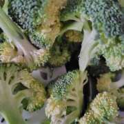 ヒメ日記 2025/03/20 09:01 投稿 北岡さゆり【OL委員会】 柏OL委員会