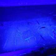 ヒメ日記 2025/05/16 07:30 投稿 北岡さゆり【OL委員会】 柏OL委員会