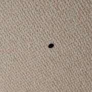 ヒメ日記 2025/06/20 21:20 投稿 北岡さゆり【OL委員会】 柏OL委員会