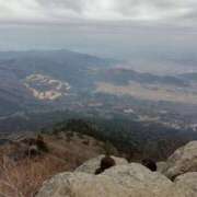 ヒメ日記 2025/08/16 09:01 投稿 北岡さゆり【OL委員会】 柏OL委員会