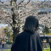 ヒメ日記 2025/04/05 09:45 投稿 まこと 葛西コスプレメイド学園（シンデレラグループ）