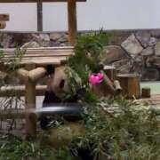 ヒメ日記 2025/02/24 00:59 投稿 みこ ぷるるん小町 京橋店