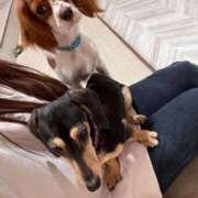 ヒメ日記 2025/01/26 12:02 投稿 りりむ 福盛