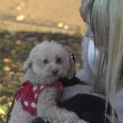 ヒメ日記 2024/12/16 17:21 投稿 戸隠よかぜ ウルトラプラチナム