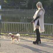 ヒメ日記 2024/12/31 10:24 投稿 戸隠よかぜ ウルトラプラチナム