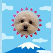 ヒメ日記 2025/01/01 08:41 投稿 戸隠よかぜ ウルトラプラチナム