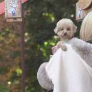 ヒメ日記 2025/01/13 17:11 投稿 戸隠よかぜ ウルトラプラチナム