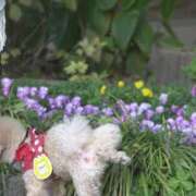 ヒメ日記 2025/01/18 01:21 投稿 戸隠よかぜ ウルトラプラチナム