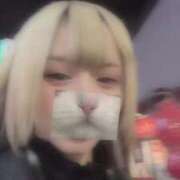 ヒメ日記 2025/02/16 16:01 投稿 戸隠よかぜ ウルトラプラチナム