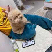 ヒメ日記 2025/03/03 20:01 投稿 戸隠よかぜ ウルトラプラチナム