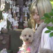 ヒメ日記 2025/03/16 20:41 投稿 戸隠よかぜ ウルトラプラチナム