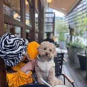 ヒメ日記 2025/04/05 14:13 投稿 戸隠よかぜ ウルトラプラチナム