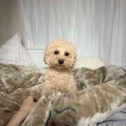 ヒメ日記 2025/04/28 21:36 投稿 戸隠よかぜ ウルトラプラチナム