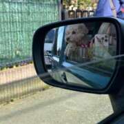 ヒメ日記 2025/04/30 19:57 投稿 戸隠よかぜ ウルトラプラチナム