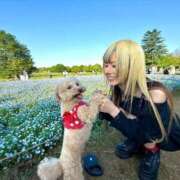 ヒメ日記 2025/05/04 14:29 投稿 戸隠よかぜ ウルトラプラチナム