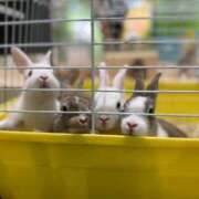 ヒメ日記 2025/06/28 11:41 投稿 戸隠よかぜ ウルトラプラチナム