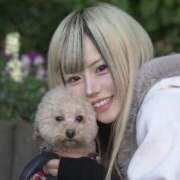 ヒメ日記 2025/07/17 18:31 投稿 戸隠よかぜ ウルトラプラチナム