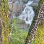 ヒメ日記 2025/07/24 20:31 投稿 戸隠よかぜ ウルトラプラチナム