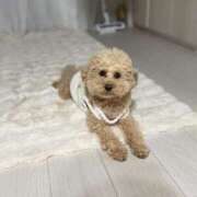 ヒメ日記 2025/08/05 13:42 投稿 戸隠よかぜ ウルトラプラチナム