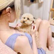 ヒメ日記 2025/09/05 16:31 投稿 戸隠よかぜ ウルトラプラチナム