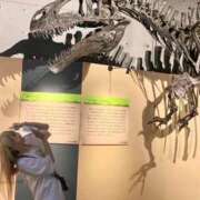 ヒメ日記 2025/11/03 21:11 投稿 戸隠よかぜ ウルトラプラチナム