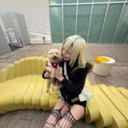 ヒメ日記 2025/11/05 09:51 投稿 戸隠よかぜ ウルトラプラチナム