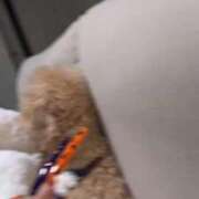 ヒメ日記 2025/11/11 23:51 投稿 戸隠よかぜ ウルトラプラチナム