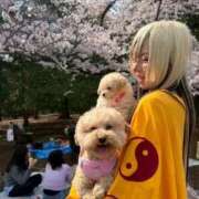 ヒメ日記 2026/03/31 21:41 投稿 戸隠よかぜ ウルトラプラチナム