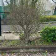 ヒメ日記 2026/04/07 15:02 投稿 戸隠よかぜ ウルトラプラチナム