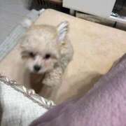 ヒメ日記 2026/04/08 23:01 投稿 戸隠よかぜ ウルトラプラチナム