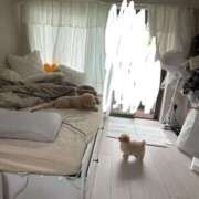 ヒメ日記 2026/04/16 15:01 投稿 戸隠よかぜ ウルトラプラチナム