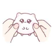 ヒメ日記 2025/11/15 13:30 投稿 あやめ ハンドキャンパス新宿