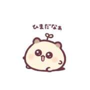 ヒメ日記 2026/02/08 08:30 投稿 あやめ ハンドキャンパス新宿