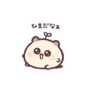 ヒメ日記 2026/04/11 11:51 投稿 あやめ ハンドキャンパス新宿