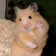 ヒメ日記 2026/01/16 18:16 投稿 ちせ 鹿児島ちゃんこ 天文館店