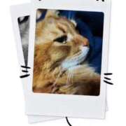 ヒメ日記 2025/03/05 10:30 投稿 あいな 大奥 梅田店