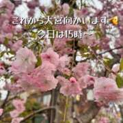 ヒメ日記 2025/04/11 11:25 投稿 あい 大宮ウィング