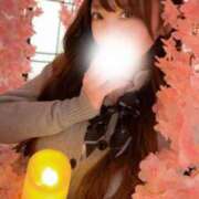 ヒメ日記 2025/03/26 15:26 投稿 みれな 東京妻next (京都グループ)