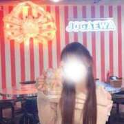 ヒメ日記 2026/01/17 10:46 投稿 みれな 東京妻next (京都グループ)