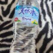 ヒメ日記 2024/12/27 16:31 投稿 めぐみ 茨城水戸ちゃんこ