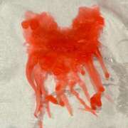 ヒメ日記 2025/01/05 14:33 投稿 こはく 痴女@女王様