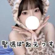 ヒメ日記 2025/02/01 22:23 投稿 こはく 痴女@女王様