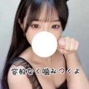 ヒメ日記 2025/04/03 23:47 投稿 こはく 痴女@女王様