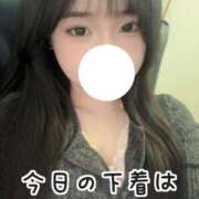 ヒメ日記 2025/04/06 11:43 投稿 こはく 痴女@女王様