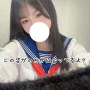 ヒメ日記 2025/04/19 09:43 投稿 こはく 痴女@女王様