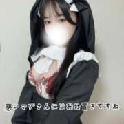 ヒメ日記 2026/02/16 19:13 投稿 こはく 痴女@女王様