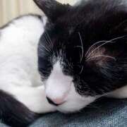 ヒメ日記 2025/02/01 09:47 投稿 ひめな 西川口淑女館