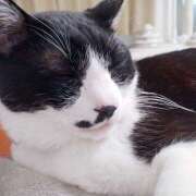 ヒメ日記 2025/02/16 08:57 投稿 ひめな 西川口淑女館