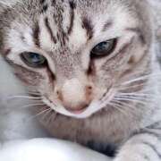 ヒメ日記 2025/03/07 08:56 投稿 ひめな 西川口淑女館